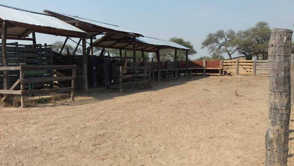 VENDO ESTABLECIMIENTO AGRO GANADERO EN PARAGUAY