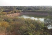 VENDO ESTABLECIMIENTO AGRO GANADERO EN PARAGUAY