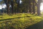 Campo 82ha Mixto en Carlos Keen y con muchas mejoras