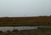 Impresionante Campo Mixto (ganadero, forestación, turismo)