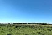 Impresionante Campo Mixto (ganadero, forestación, turismo)