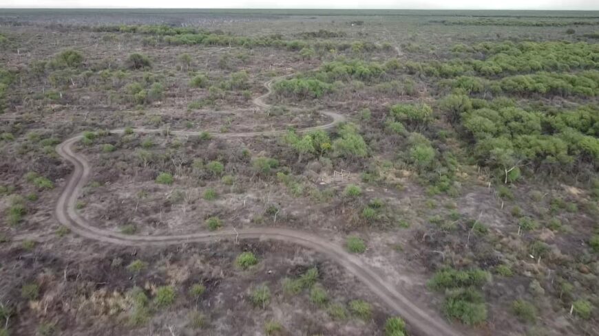 CAMPO EN VENTA – 450 ha en Las Palomas, San Luis