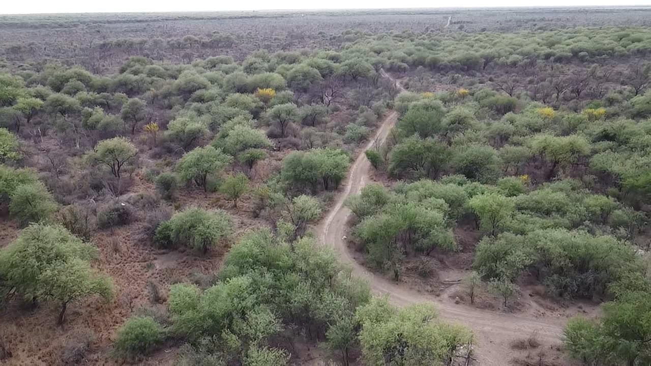CAMPO EN VENTA – 450 ha en Las Palomas, San Luis