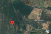 CAMPO EN VENTA – 450 ha en Las Palomas, San Luis