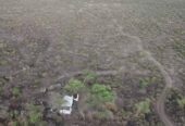 CAMPO EN VENTA – 450 ha en Las Palomas, San Luis