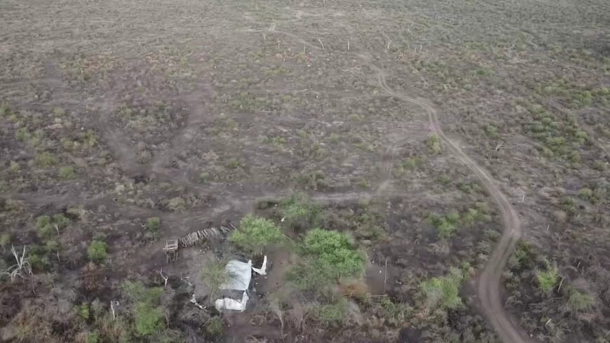 CAMPO EN VENTA – 450 ha en Las Palomas, San Luis