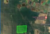 CAMPO EN VENTA – 450 ha en Las Palomas, San Luis