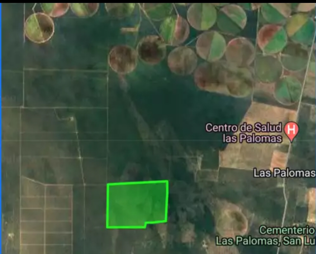 CAMPO EN VENTA – 450 ha en Las Palomas, San Luis