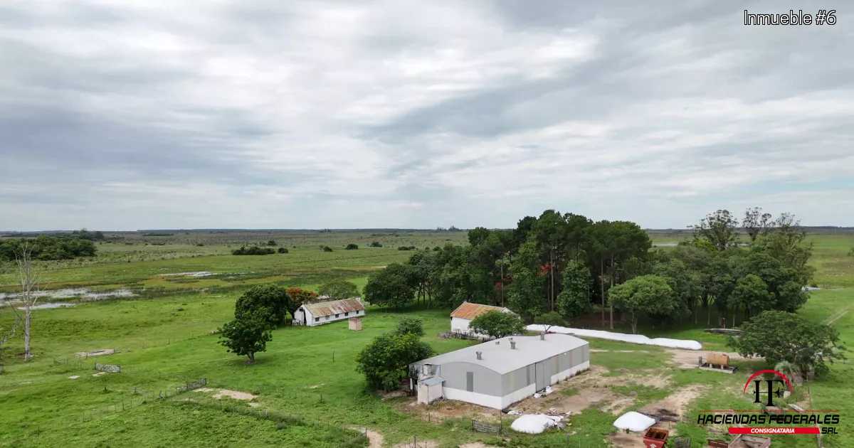 Excelente campo ganadero – forestal en Saladas, Corrientes.