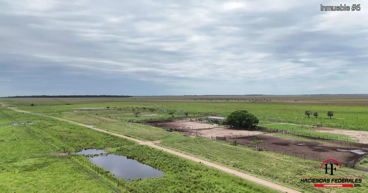 Excelente campo ganadero – forestal en Saladas, Corrientes.