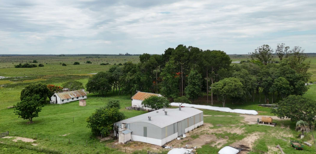 Excelente campo ganadero – forestal en Saladas, Corrientes.