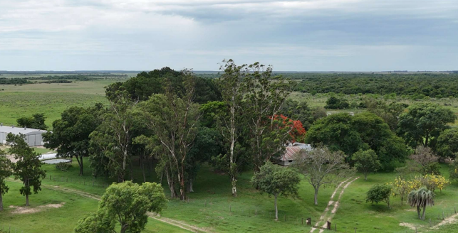 Excelente campo ganadero – forestal en Saladas, Corrientes.