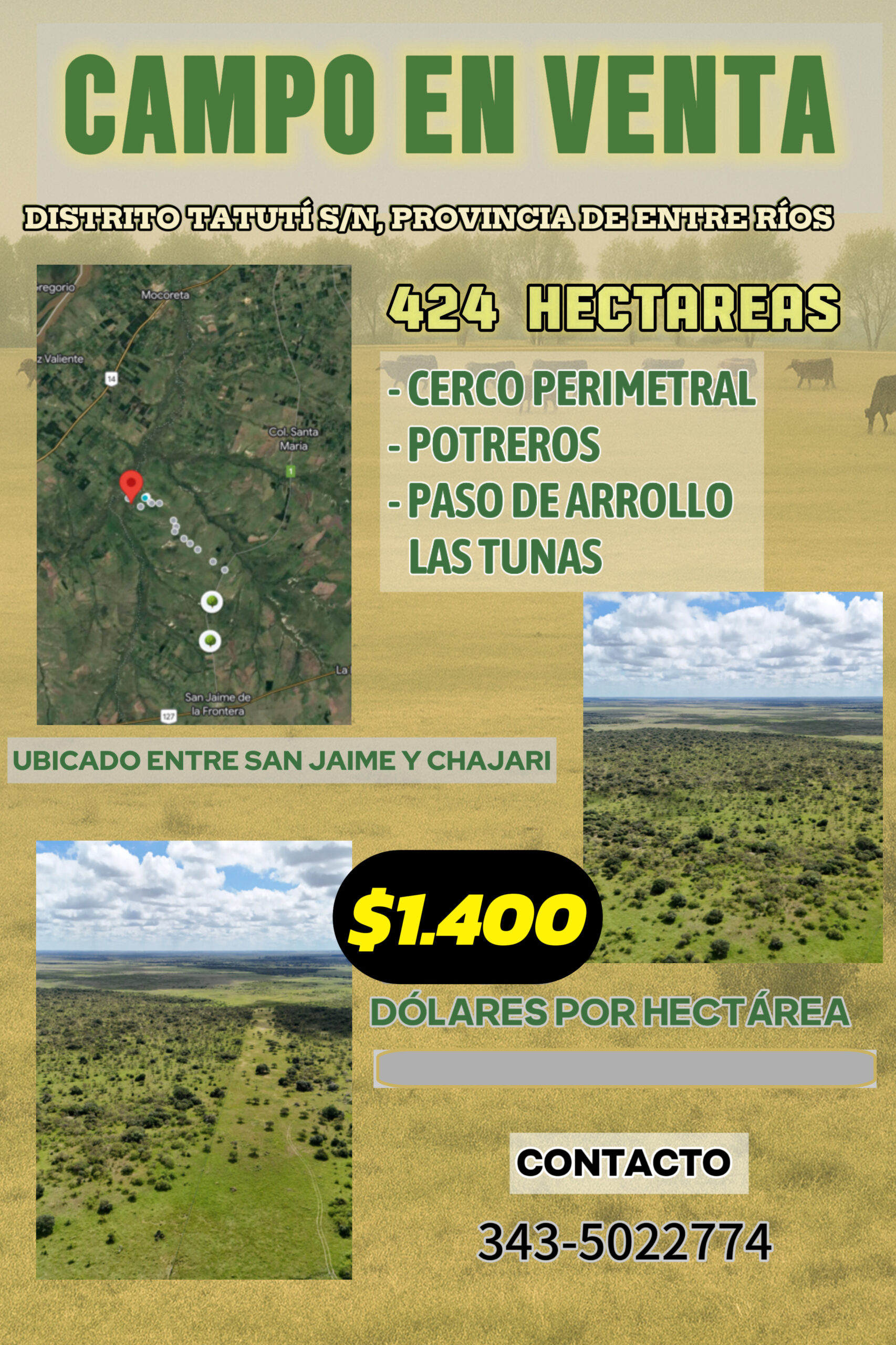 CAMPO EN VENTA GANADERO 🐄 – Ubicado entre san Jaime y Chajari E.R- 424 hectáreas