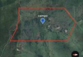CAMPO EN VENTA GANADERO 🐄 – Ubicado entre san Jaime y Chajari E.R- 424 hectáreas