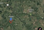 CAMPO EN VENTA GANADERO 🐄 – Ubicado entre san Jaime y Chajari E.R- 424 hectáreas