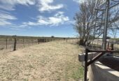 CAMPO GANADERO DE CRÍA-5900 HAS- PROVINCIA DE LA PAMPA
