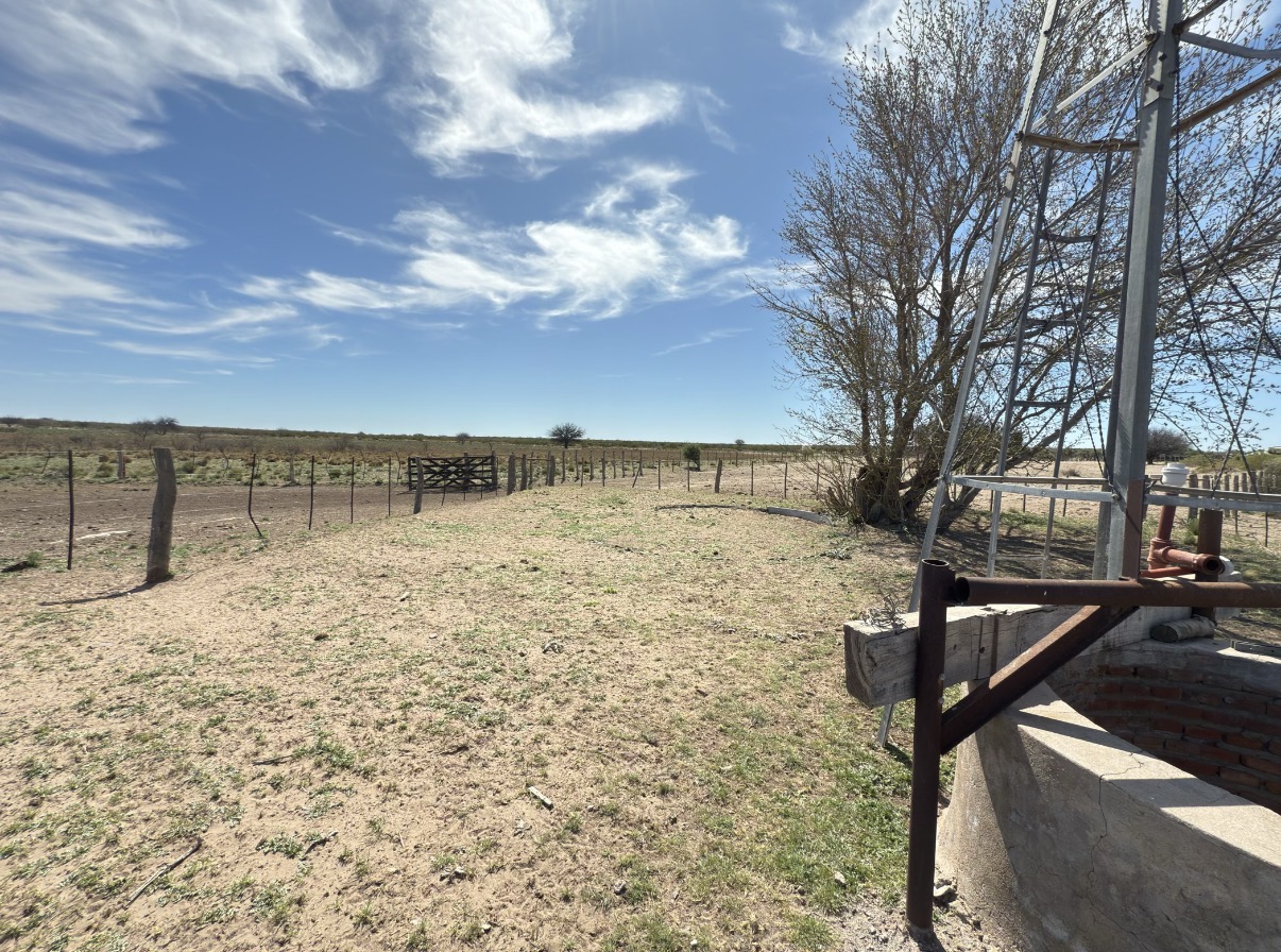 CAMPO GANADERO DE CRÍA-5900 HAS- PROVINCIA DE LA PAMPA