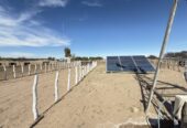 CAMPO GANADERO DE CRÍA-5900 HAS- PROVINCIA DE LA PAMPA