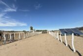 CAMPO GANADERO DE CRÍA-5900 HAS- PROVINCIA DE LA PAMPA