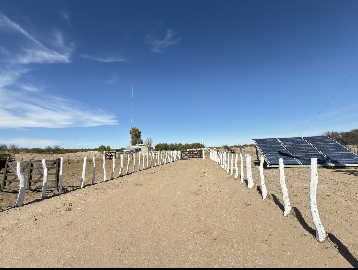 CAMPO GANADERO DE CRÍA-5900 HAS- PROVINCIA DE LA PAMPA
