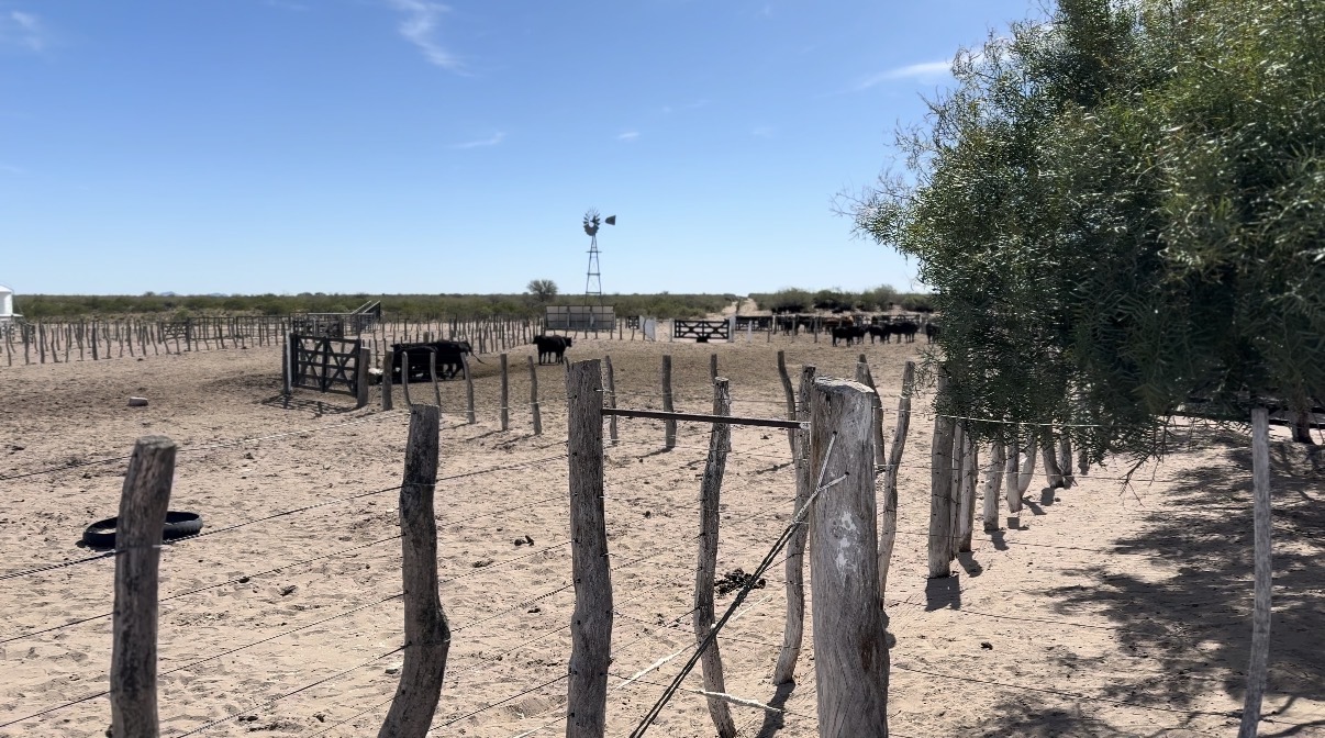 CAMPO GANADERO DE CRÍA-5900 HAS- PROVINCIA DE LA PAMPA