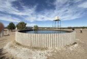 CAMPO GANADERO DE CRÍA-5900 HAS- PROVINCIA DE LA PAMPA