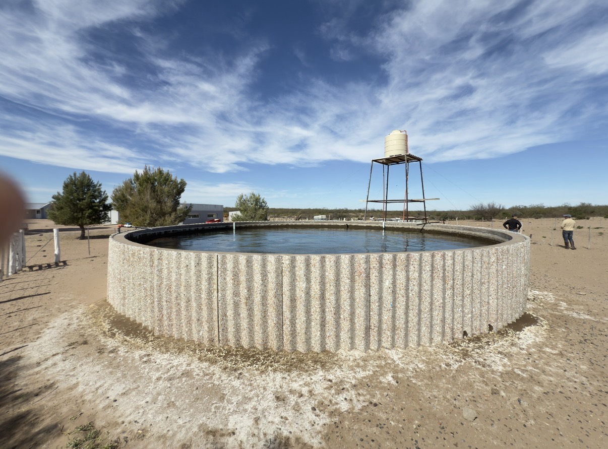 CAMPO GANADERO DE CRÍA-5900 HAS- PROVINCIA DE LA PAMPA