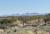 CAMPO GANADERO DE CRÍA-5900 HAS- PROVINCIA DE LA PAMPA