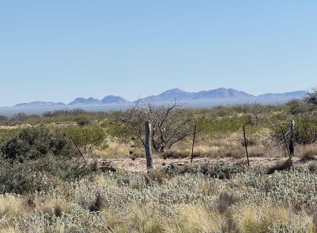 CAMPO GANADERO DE CRÍA-5900 HAS- PROVINCIA DE LA PAMPA