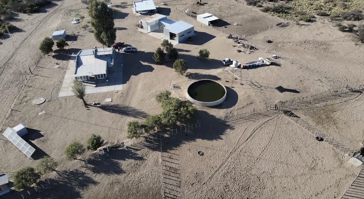 CAMPO GANADERO DE CRÍA-5900 HAS- PROVINCIA DE LA PAMPA