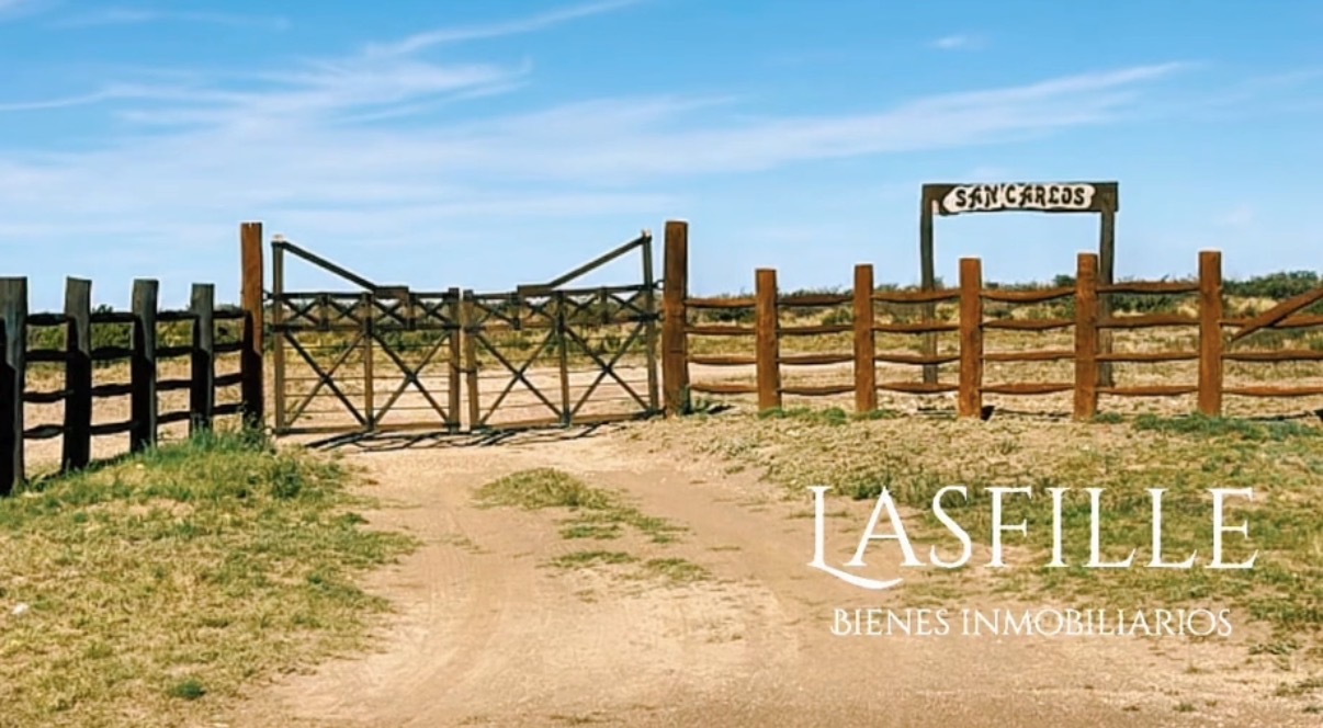 CAMPO GANADERO DE CRÍA-5900 HAS- PROVINCIA DE LA PAMPA