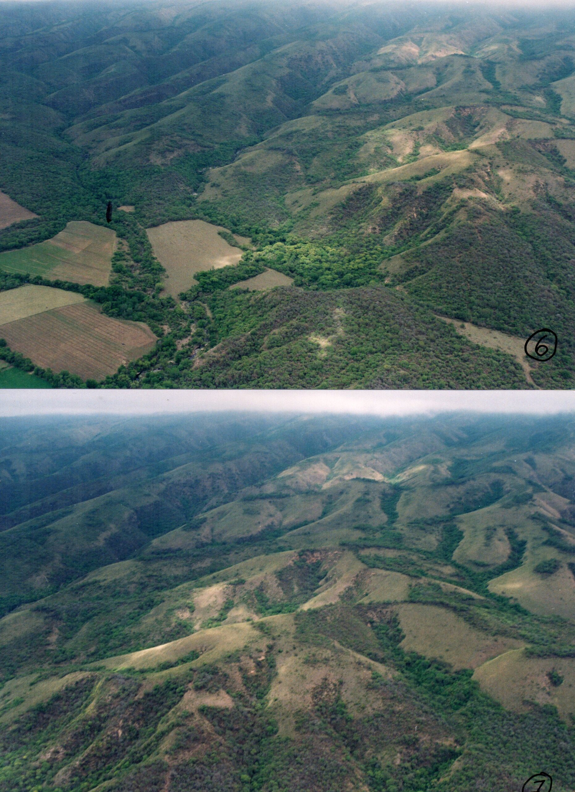 Campo mixto Inversion, Desarrollo, Turismo