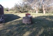 Vendo pequeño Campo más casa