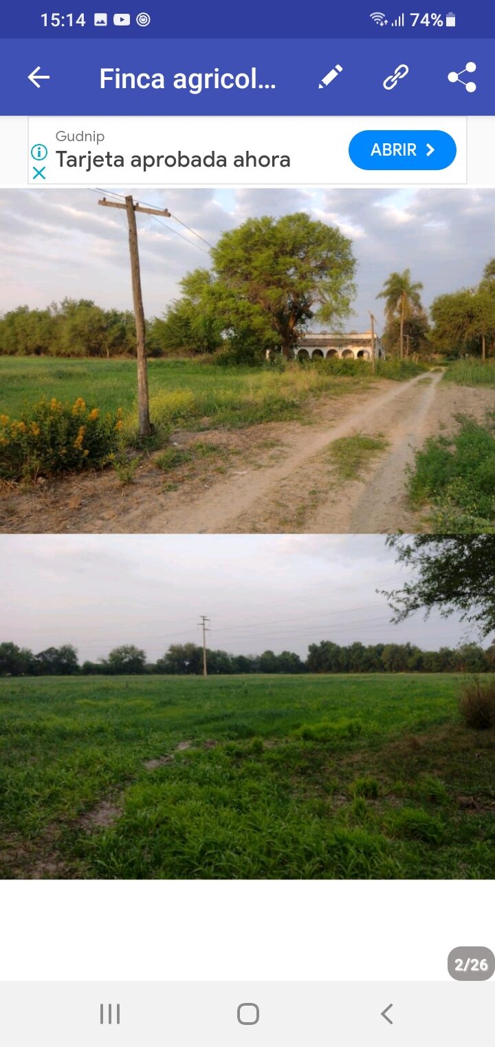 OPORTUNIDAD DE INVERSIÓN RURAL | TRANCAS, TUCUMÁN