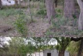 OPORTUNIDAD DE INVERSIÓN RURAL | TRANCAS, TUCUMÁN