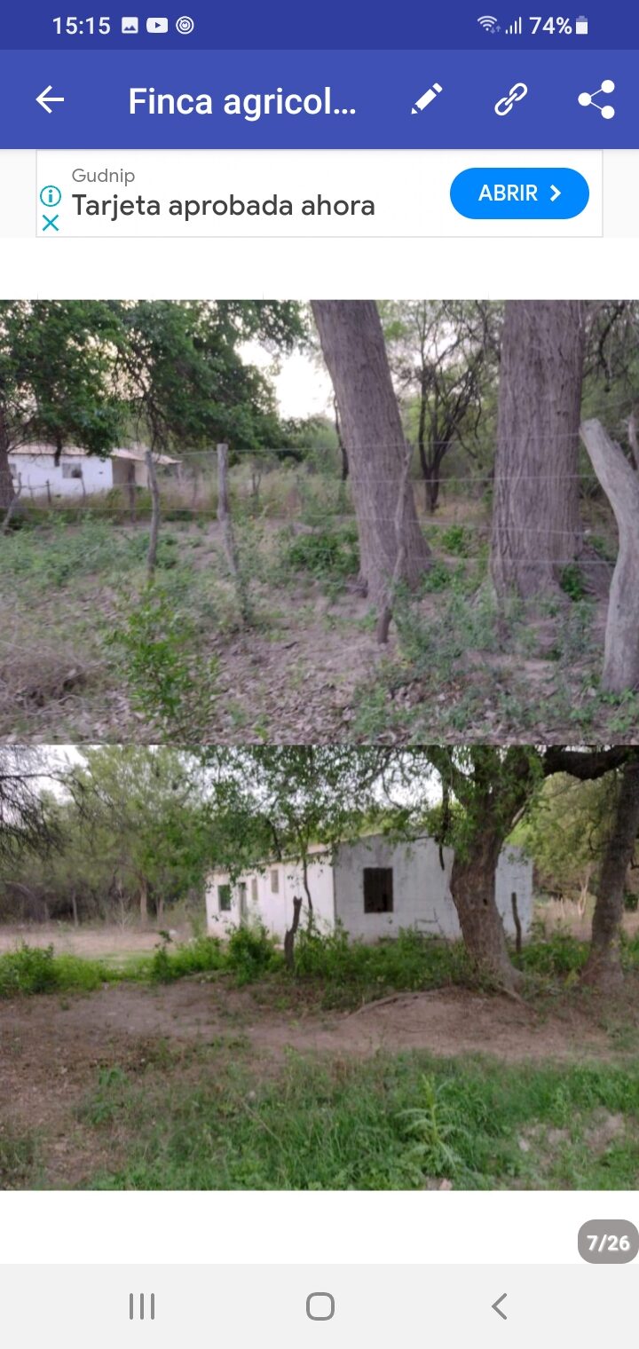 OPORTUNIDAD DE INVERSIÓN RURAL | TRANCAS, TUCUMÁN