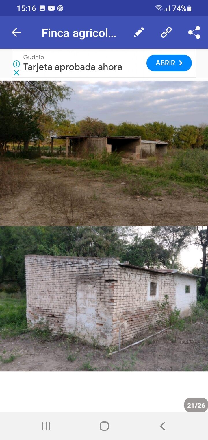OPORTUNIDAD DE INVERSIÓN RURAL | TRANCAS, TUCUMÁN