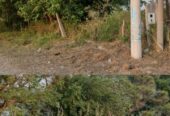 OPORTUNIDAD DE INVERSIÓN RURAL | TRANCAS, TUCUMÁN