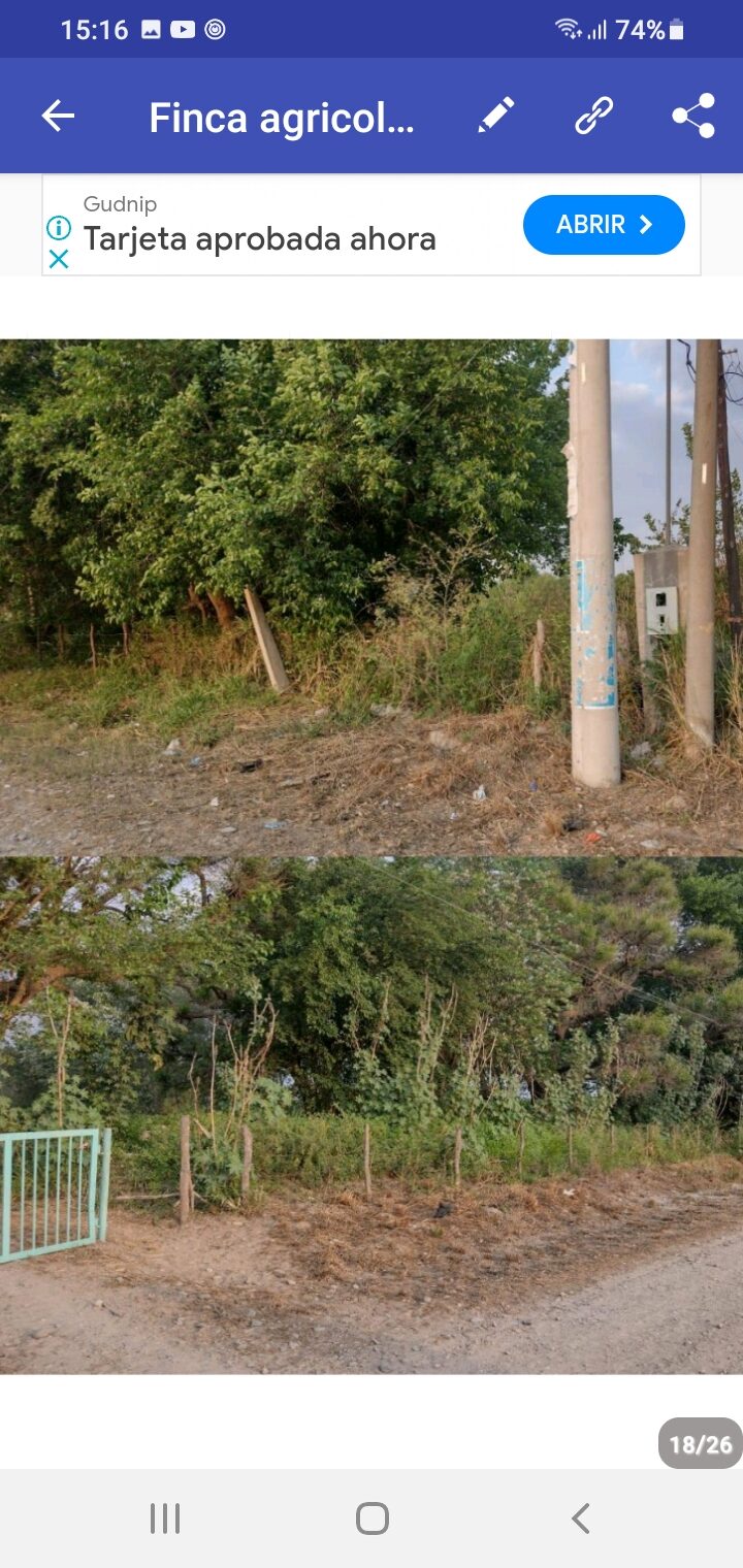 OPORTUNIDAD DE INVERSIÓN RURAL | TRANCAS, TUCUMÁN
