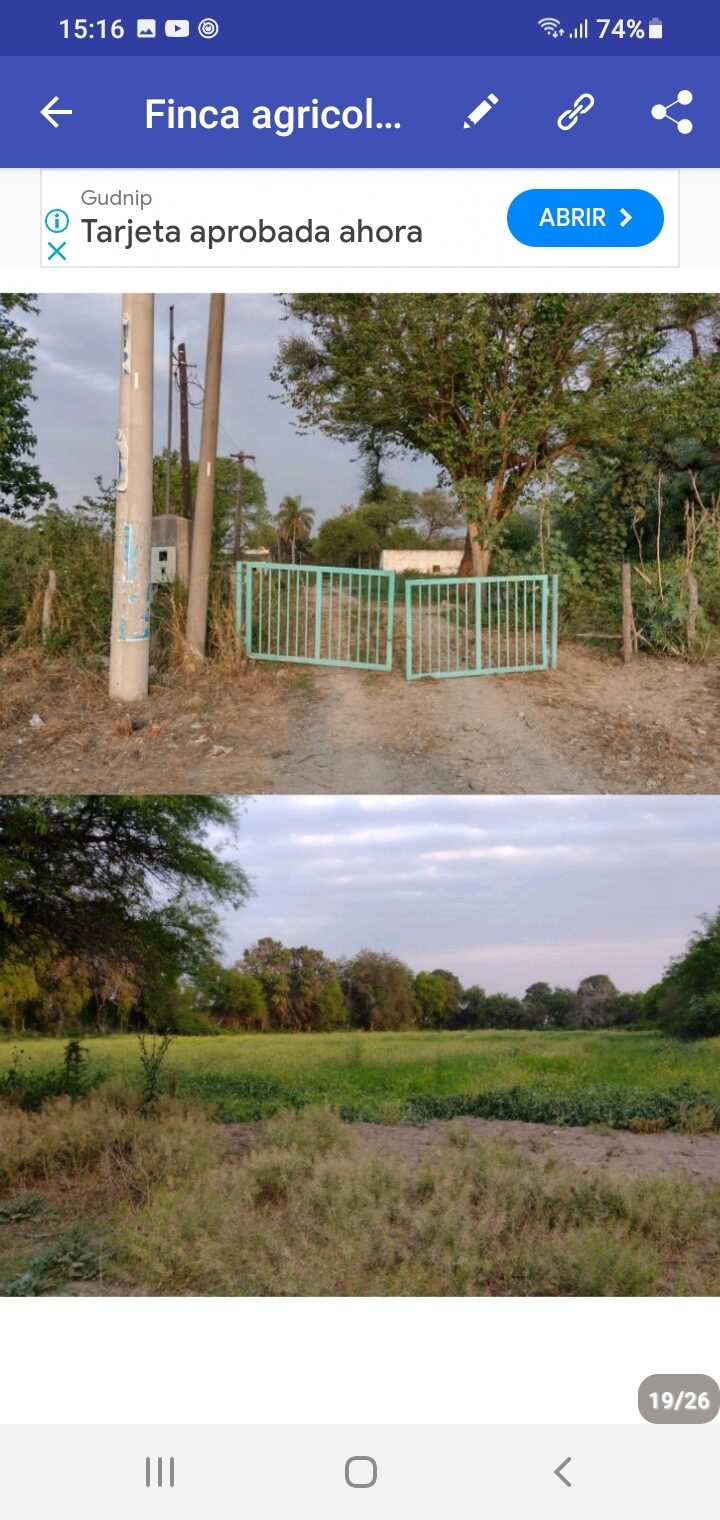OPORTUNIDAD DE INVERSIÓN RURAL | TRANCAS, TUCUMÁN