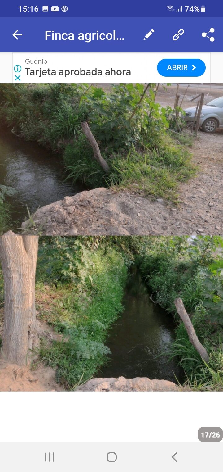 OPORTUNIDAD DE INVERSIÓN RURAL | TRANCAS, TUCUMÁN