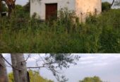 OPORTUNIDAD DE INVERSIÓN RURAL | TRANCAS, TUCUMÁN