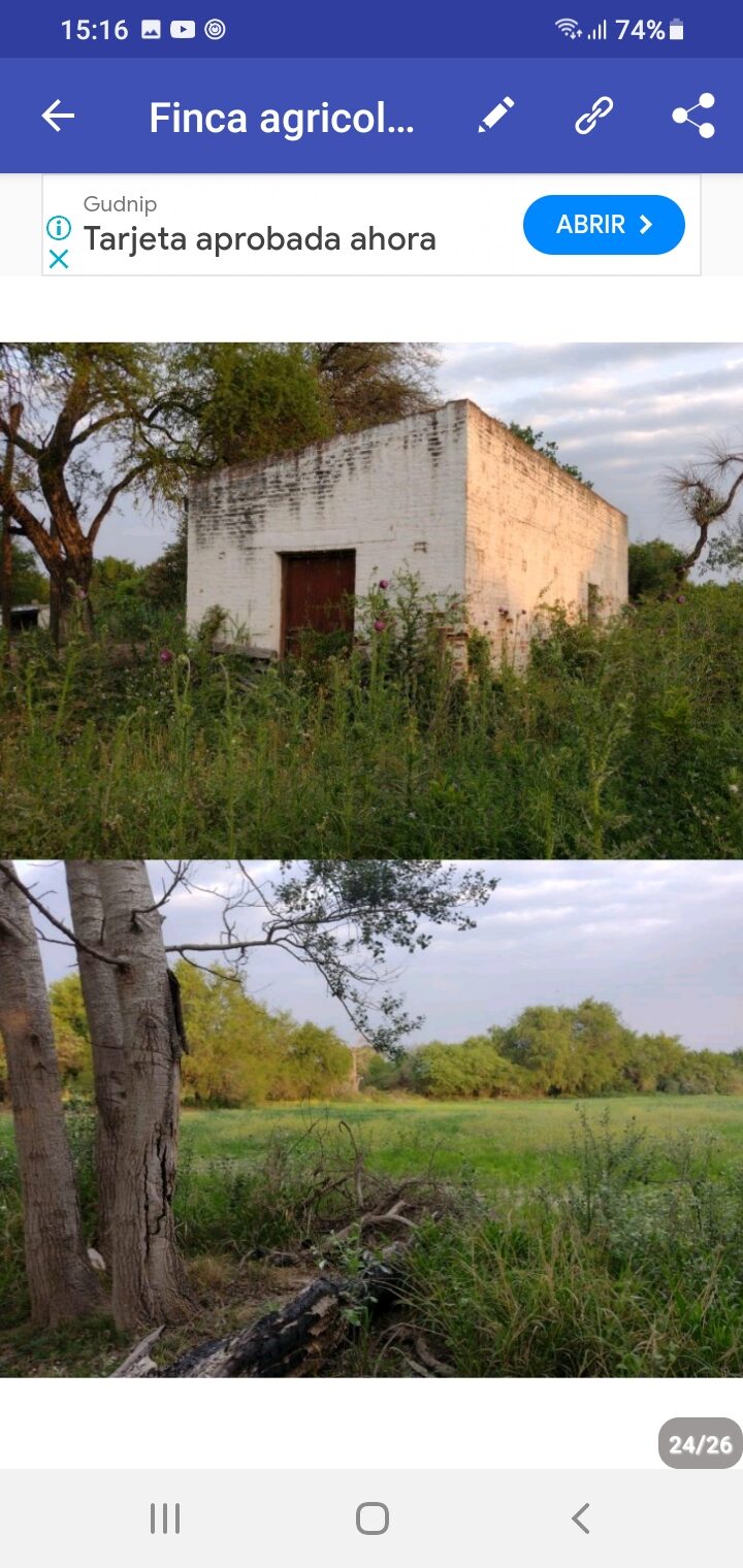 OPORTUNIDAD DE INVERSIÓN RURAL | TRANCAS, TUCUMÁN