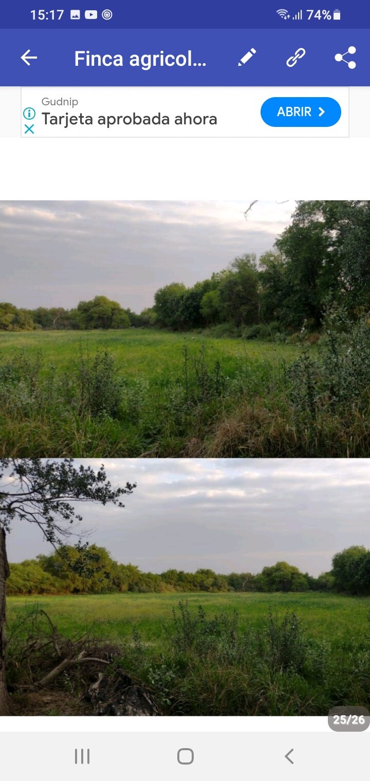 OPORTUNIDAD DE INVERSIÓN RURAL | TRANCAS, TUCUMÁN