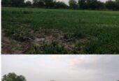 OPORTUNIDAD DE INVERSIÓN RURAL | TRANCAS, TUCUMÁN