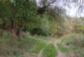 OPORTUNIDAD DE INVERSIÓN RURAL | TRANCAS, TUCUMÁN