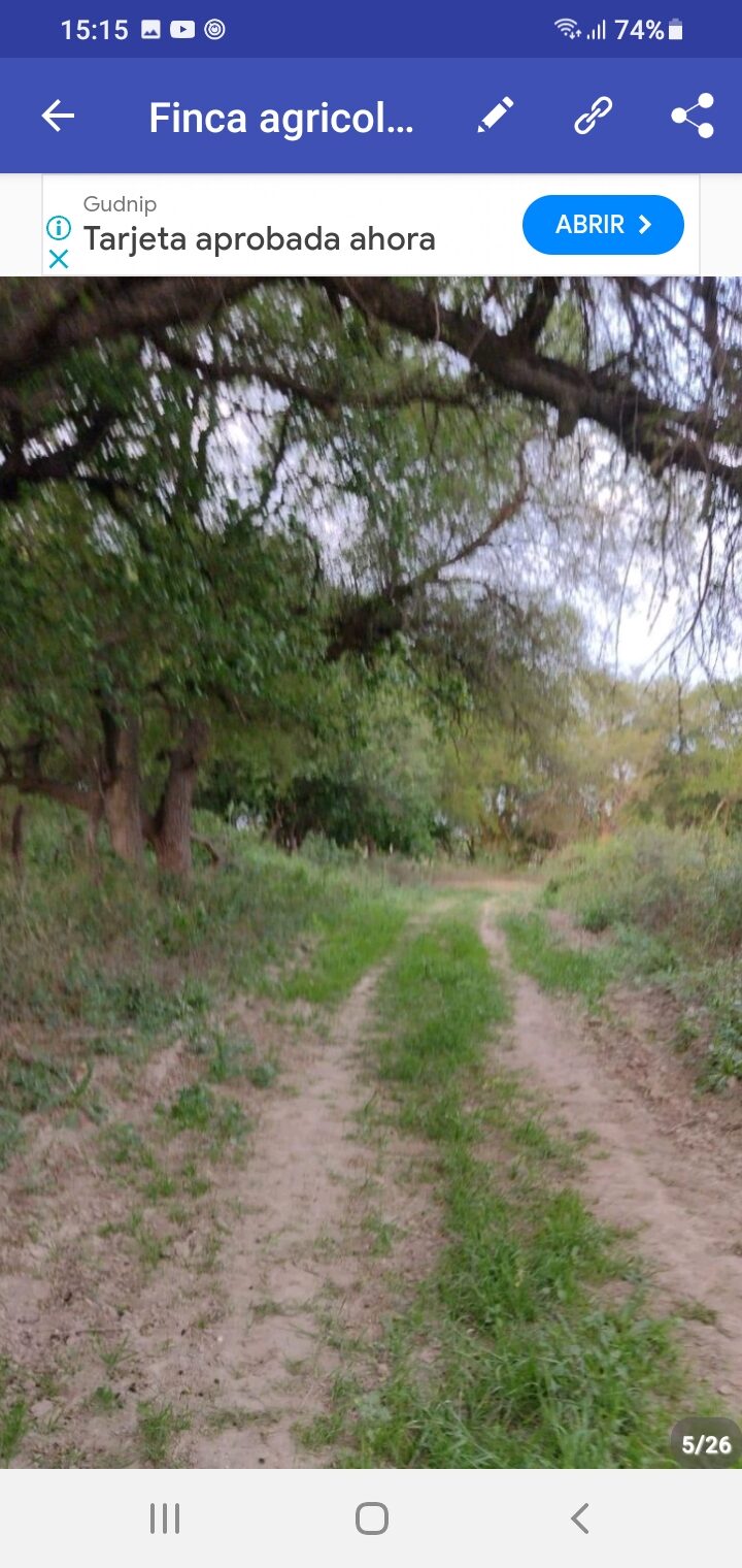 OPORTUNIDAD DE INVERSIÓN RURAL | TRANCAS, TUCUMÁN