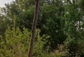 OPORTUNIDAD DE INVERSIÓN RURAL | TRANCAS, TUCUMÁN