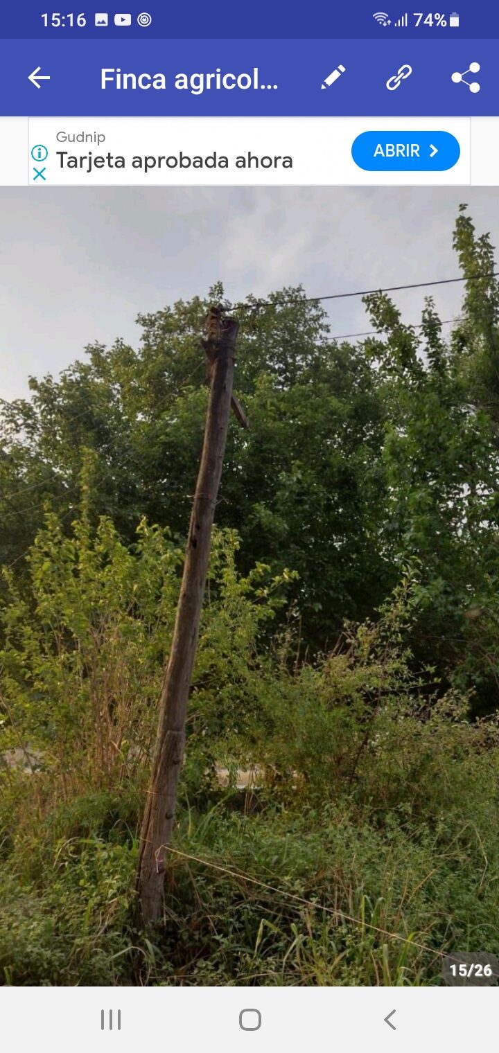 OPORTUNIDAD DE INVERSIÓN RURAL | TRANCAS, TUCUMÁN