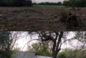OPORTUNIDAD DE INVERSIÓN RURAL | TRANCAS, TUCUMÁN